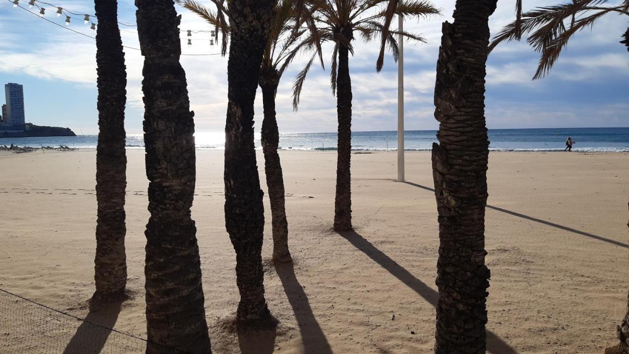 Appartement Benidorm Mariscal エクステリア 写真