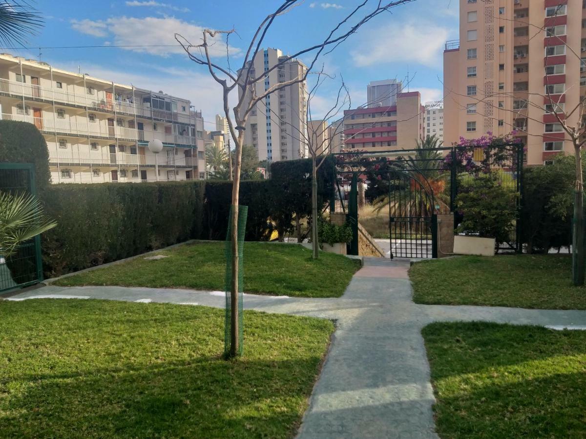 Appartement Benidorm Mariscal エクステリア 写真